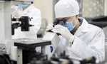 Scientific research in university Photo: HOA BAN