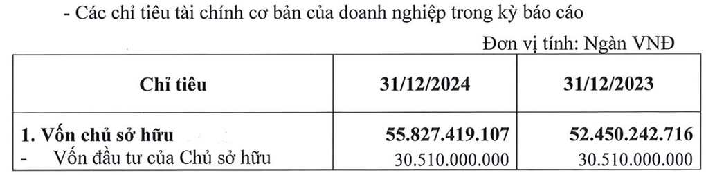 Thaco của tỷ phú Trần Bá Dương nợ ngân hàng 3,4 tỷ USD, tăng 53% - 1
