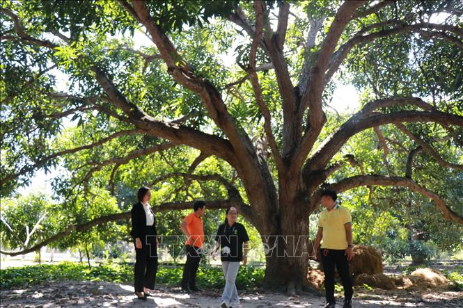 ចំណងជើងរូបថត