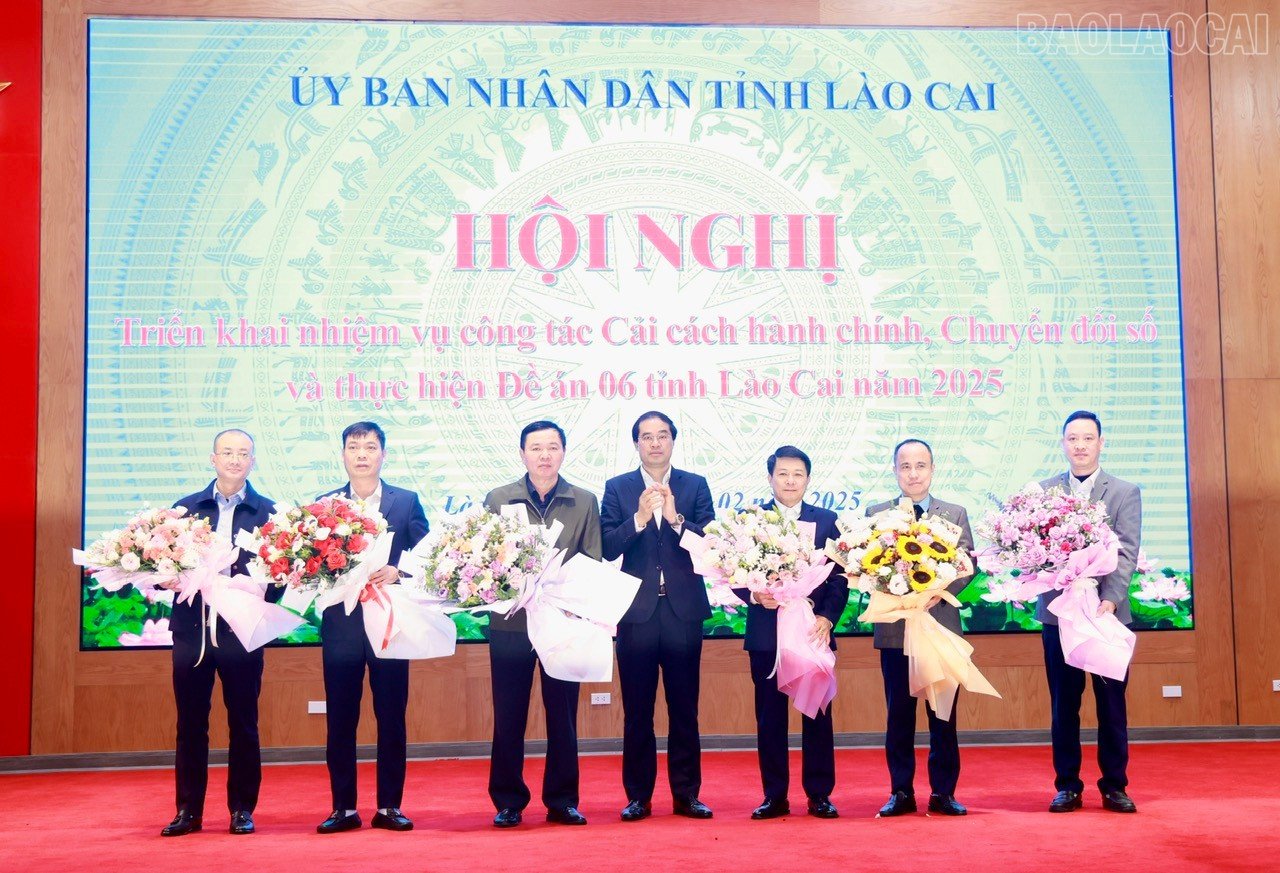 baolaocai-tr_cds.jpg