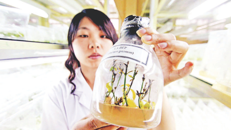 thiet-ke-chua-co-ten-10.png