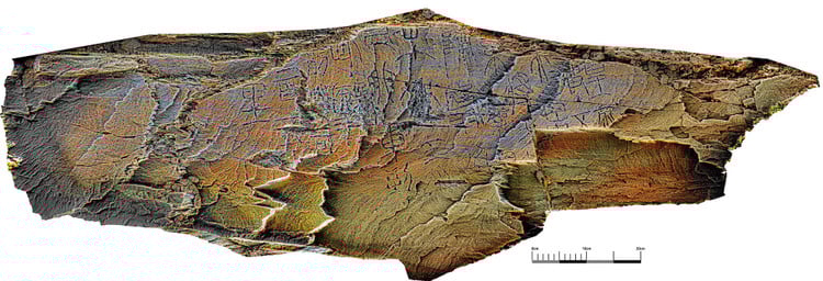 tamn-3.jpg