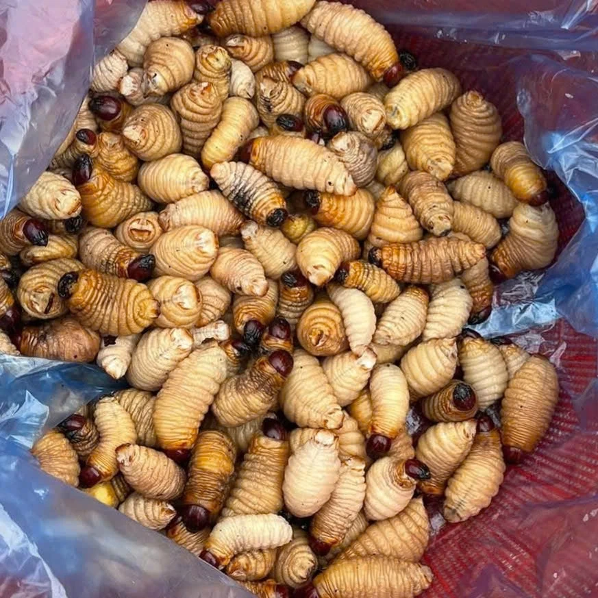 រំភើប​ចិត្ត​ផ្សារ​មួង