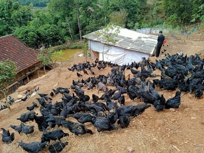 ga-den.jpg