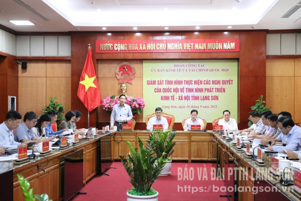 Lãnh đạo Ủy ban Kinh tế và Tài chính của Quốc hội phát biểu tại buổi làm việc