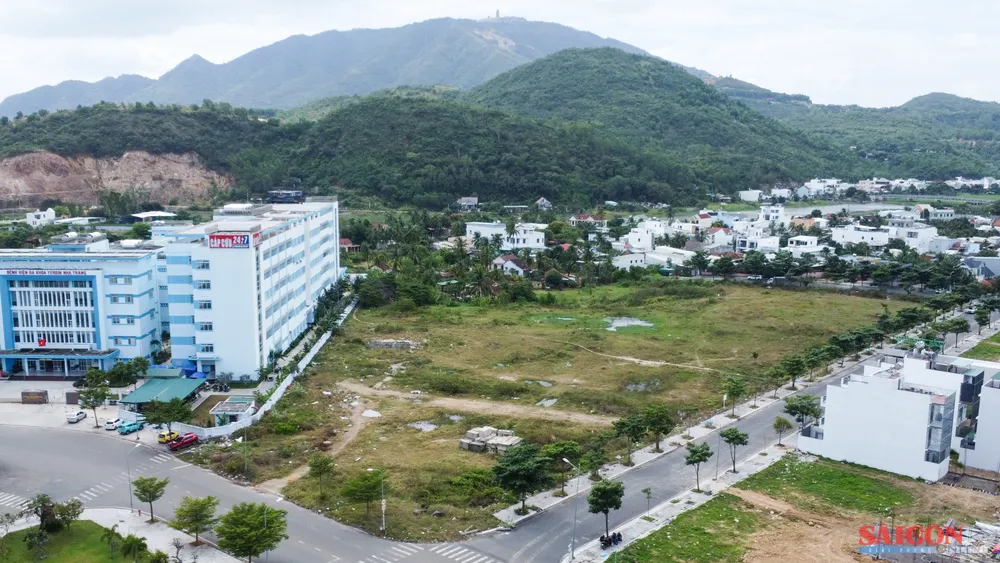 dasua-0881.jpg