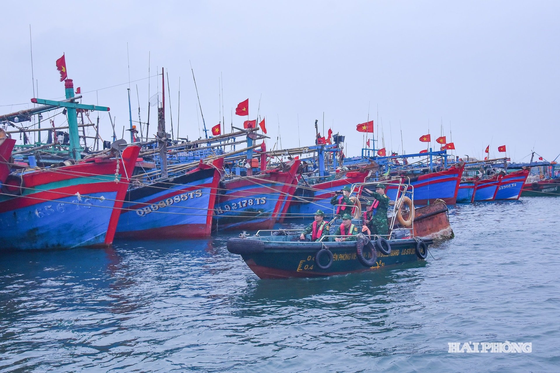 អេក្រង់ BLV5
