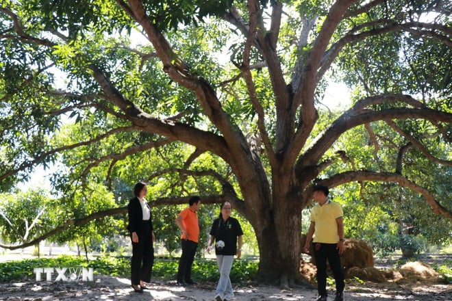 ttxvn-1809-du-lich-khanh-hoa.jpg