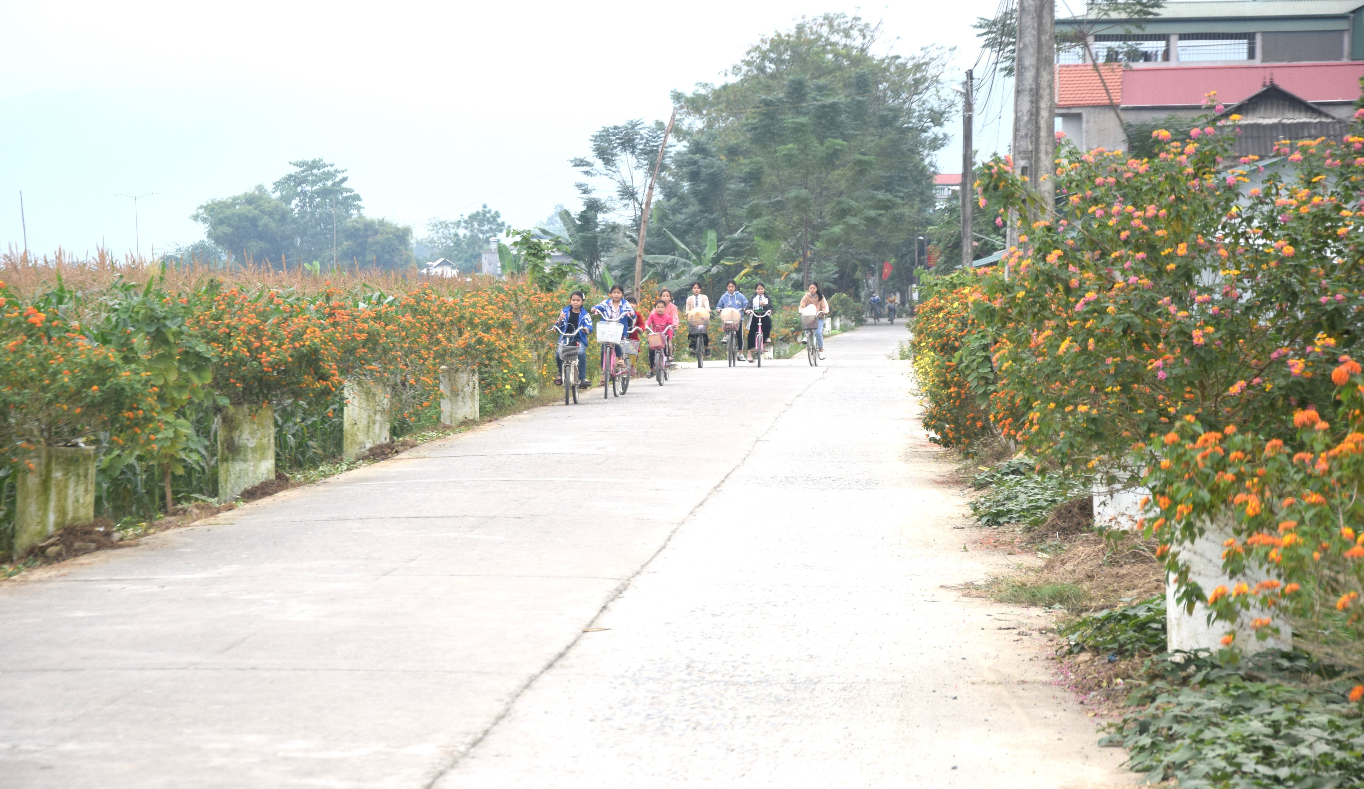 duong-hoa.jpg