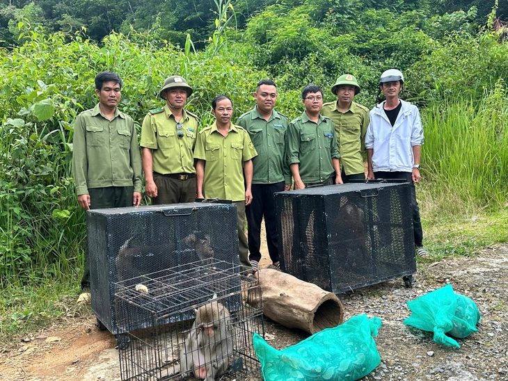 Thả 6 loài động vật hoang dã về rừng Chư Yang Sin - Ảnh 1.