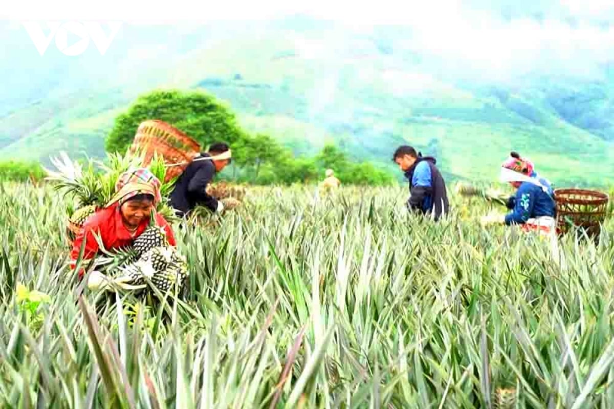 Du lịch Lai Châu kỳ vọng “cất cánh” từ những bản làng xanh - Ảnh 2.
