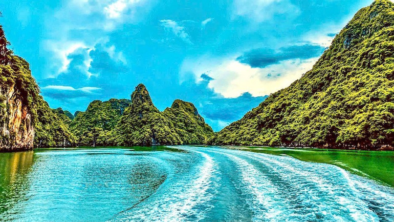 vinh-hl.jpg