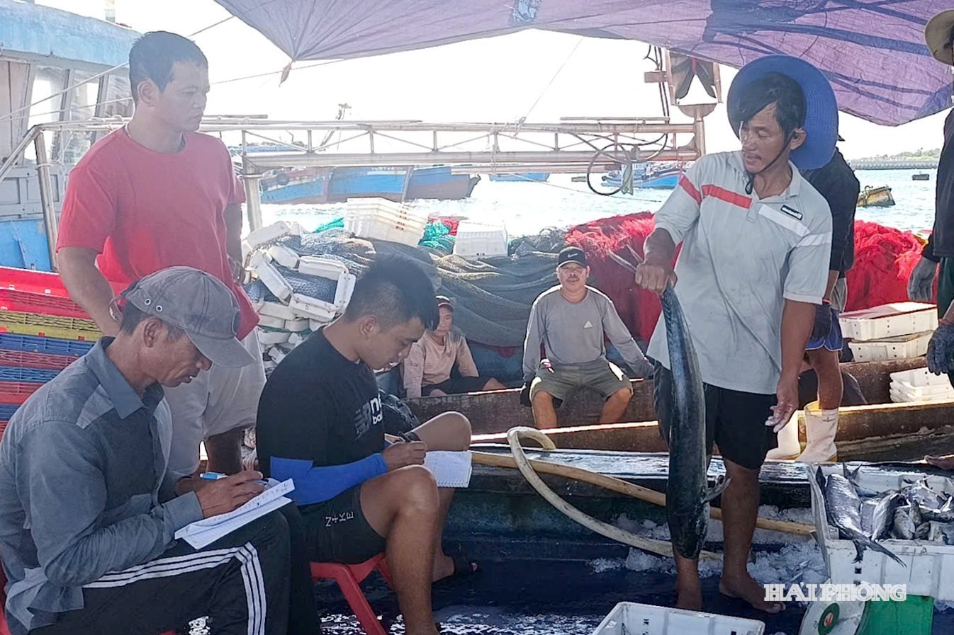 អូកាង BLV45