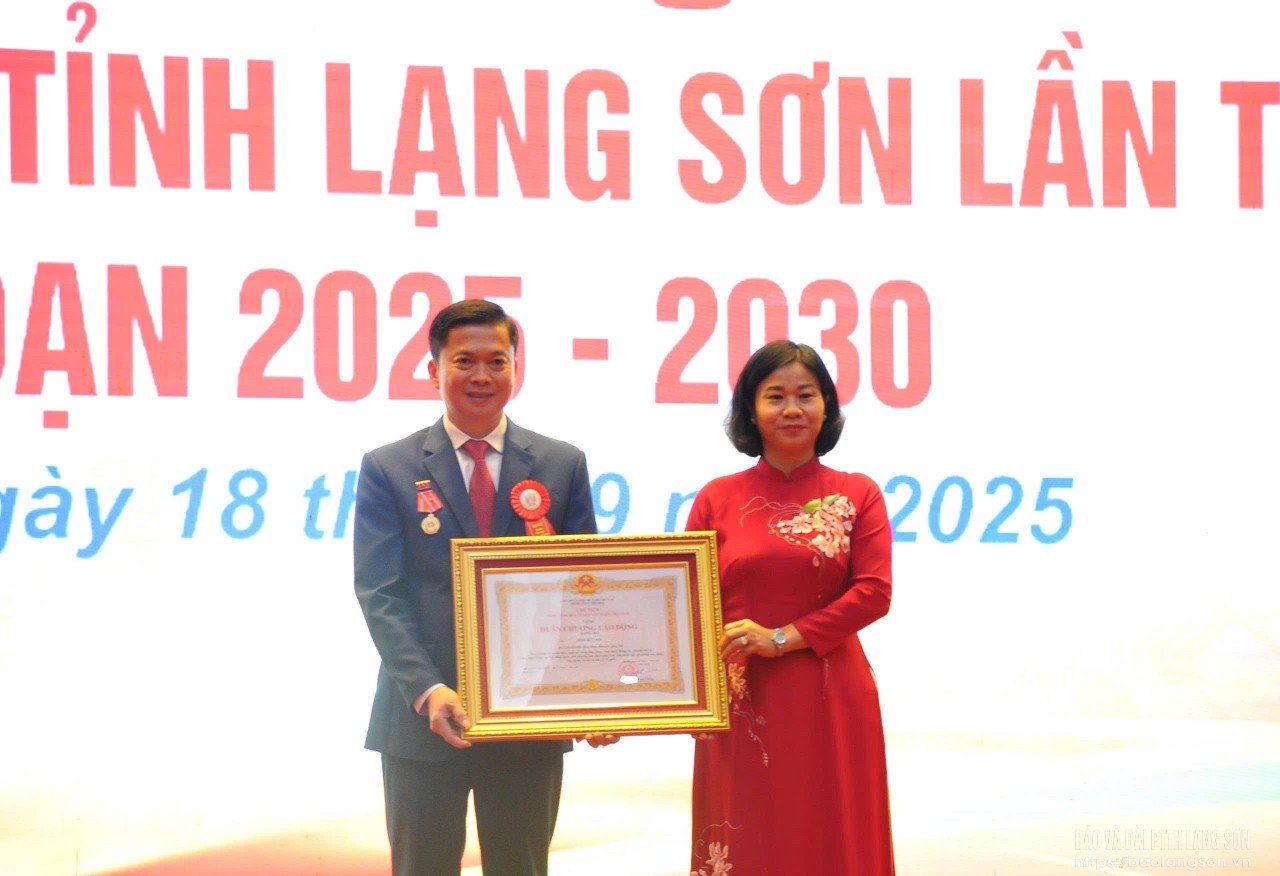 សមមិត្ត Dinh Huu Hoc អនុប្រធានអចិន្ត្រៃយ៍ក្រុមប្រឹក្សាប្រជាជនខេត្ត ទទួលបានមេដាយការងារថ្នាក់ទី៣។