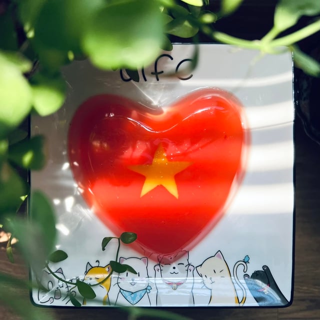 Nội trợ cũng là yêu nước! - Ảnh 7.