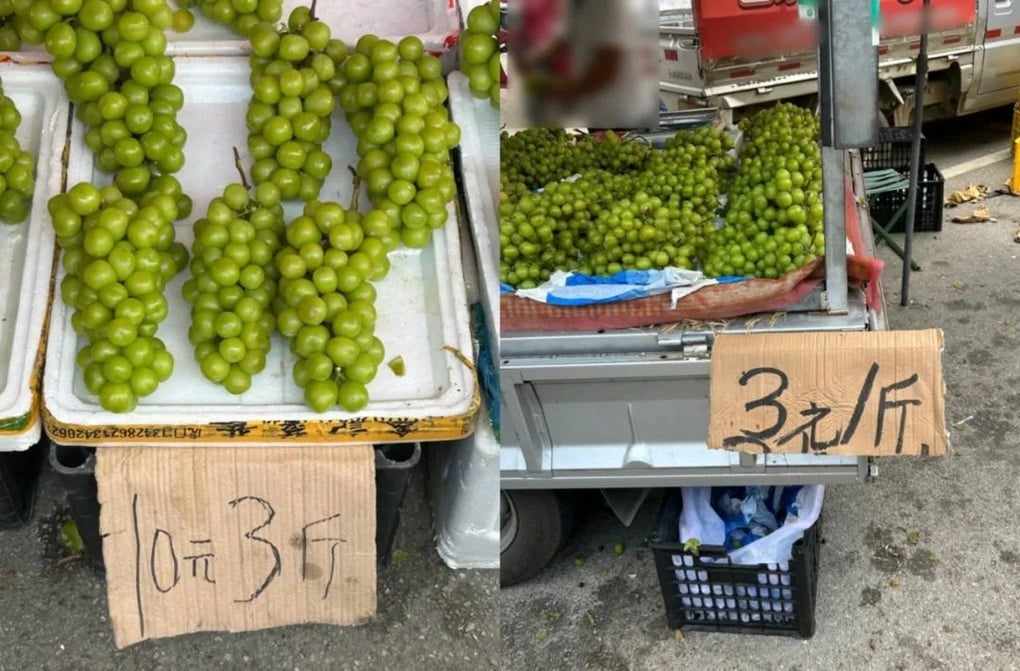 Một loại trái cây “quý tộc” của Trung Quốc rớt giá còn hơn 10.000 đồng/kg - 1