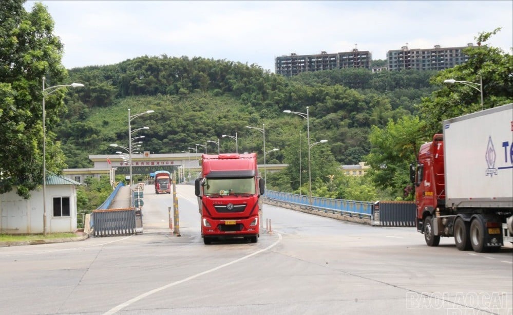 baolaocai-br-h5.jpg