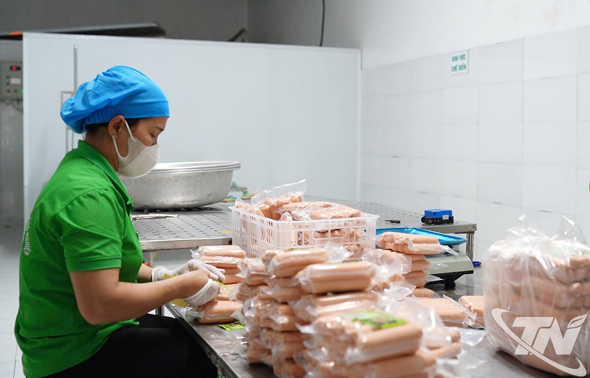 Wurstprodukte bei der Viehzucht- und Agrarproduktions-Dienstleistungsgenossenschaft Nga My.
