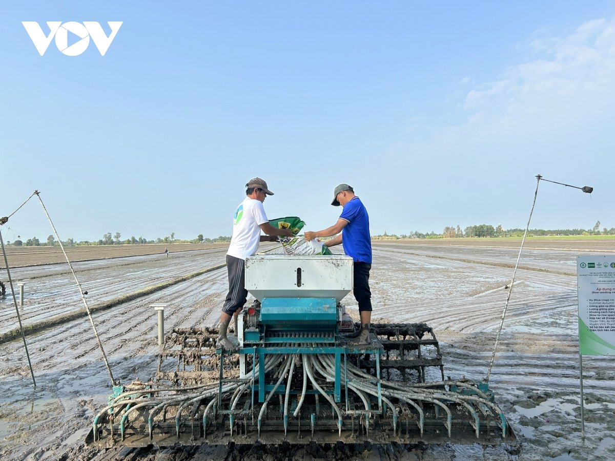 Program beras berkualitas tinggi rendah emisi seluas 1 juta hektar yang dilaksanakan di Delta Mekong