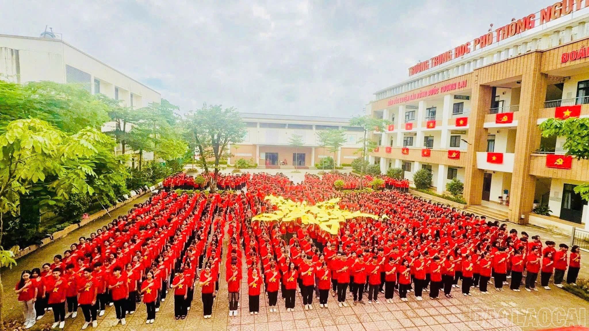 baolaocai-br_z6970216164629-d327783ae7c40f544d7c5a40911532d1.jpg