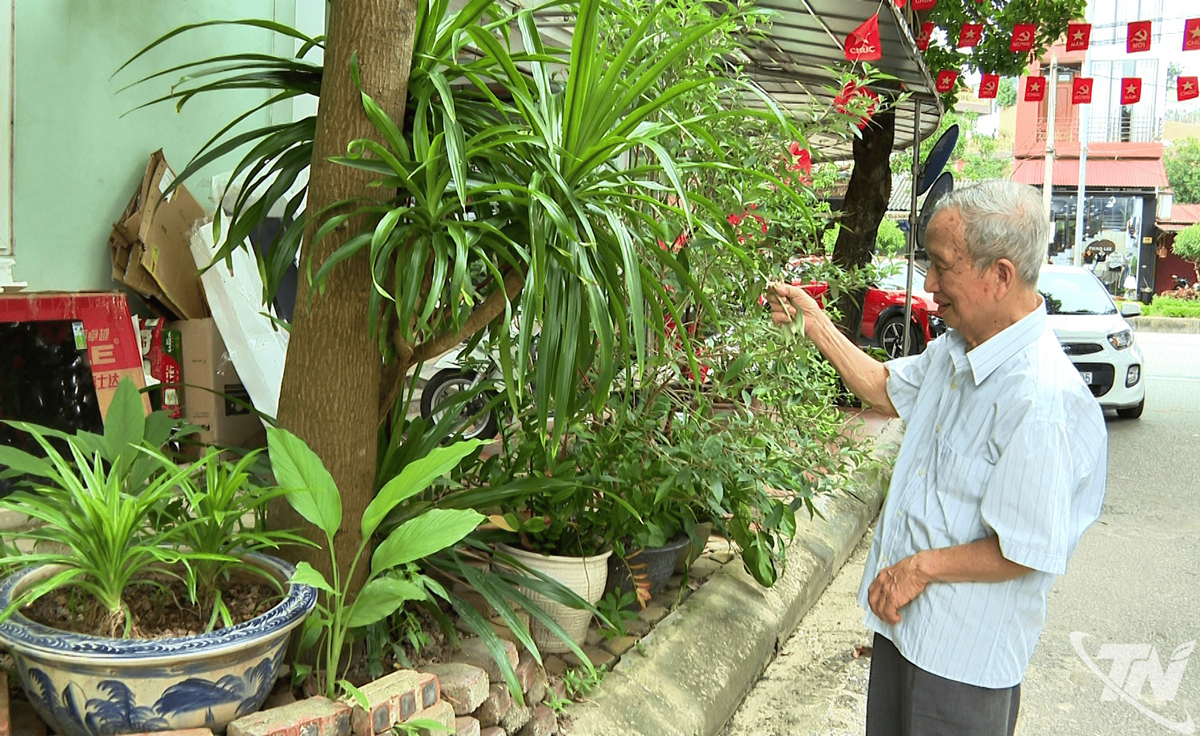 Ông Vũ Văn Tuất chăm sóc cây cảnh trước hiên nhà.