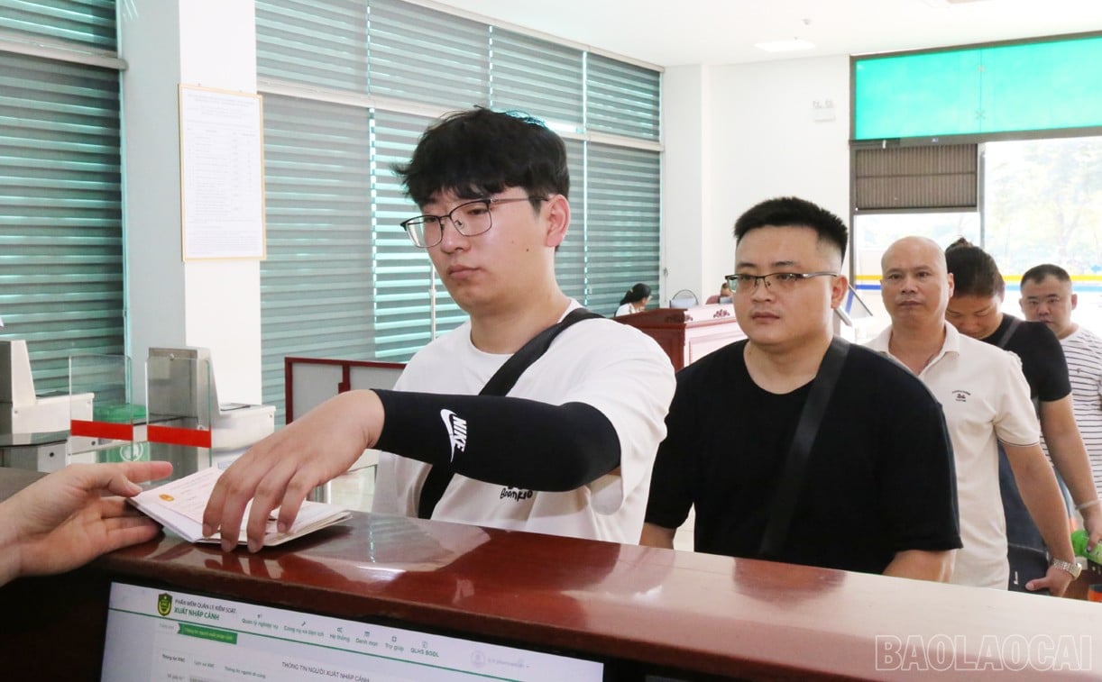 baolaocai-br_h.jpg