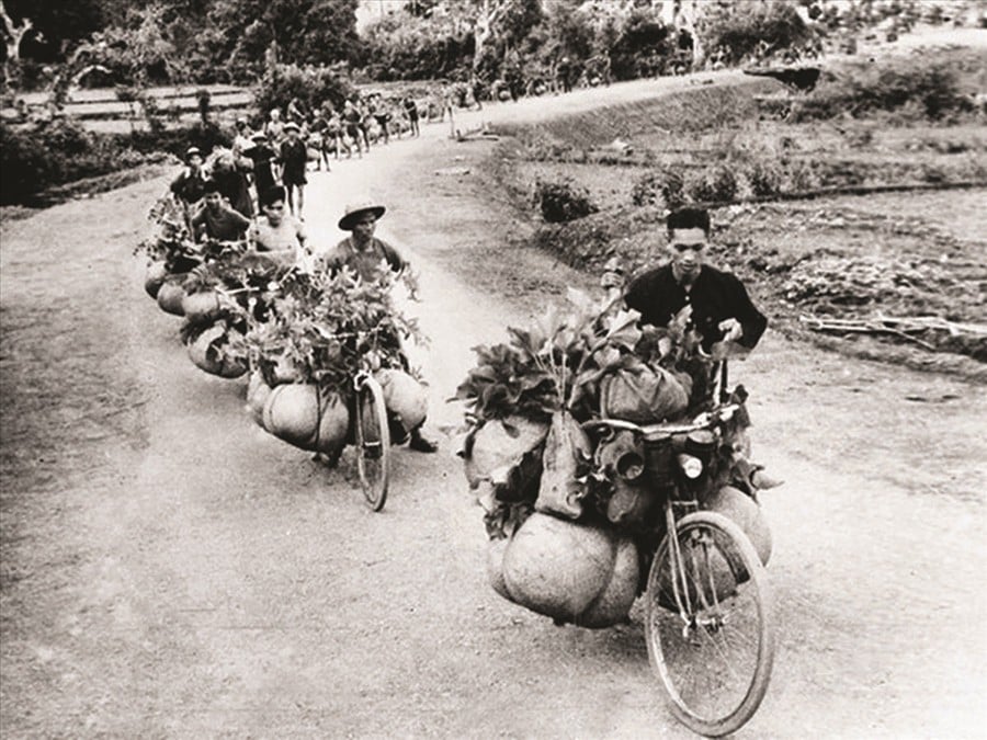 cu-huong-anh-1-1444.jpg