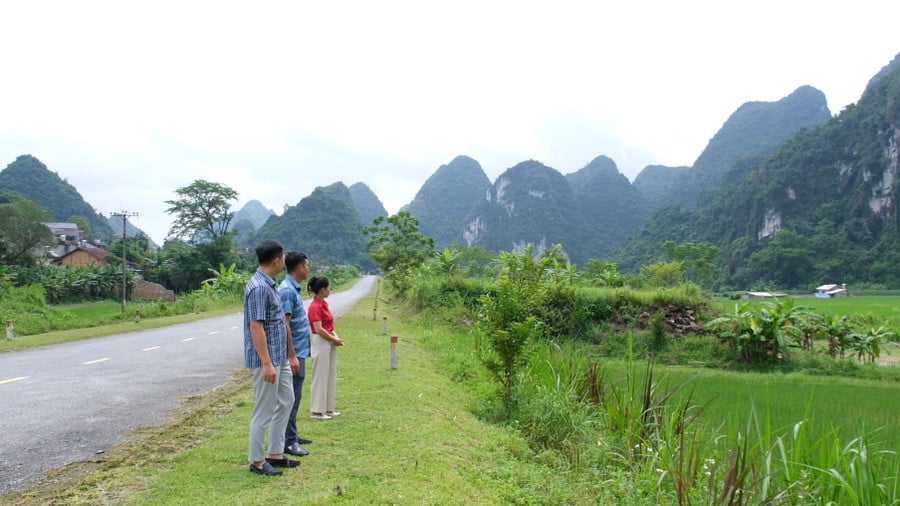 duc-long.jpg