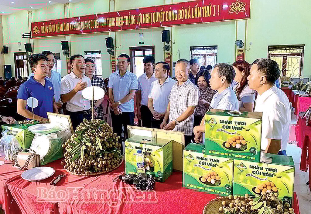 Die Genossenschaft Cui Van Longan in der Gemeinde Hong Quang fördert den Konsum von Longan.