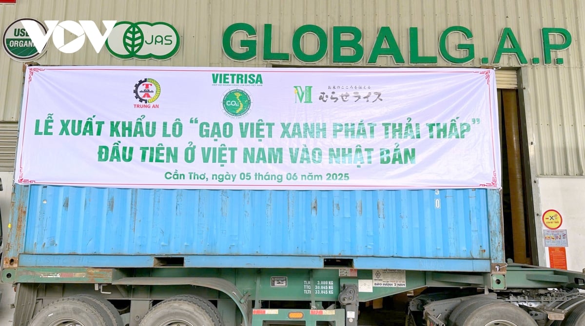  Mengekspor batch pertama beras hijau Vietnam rendah emisi ke Jepang