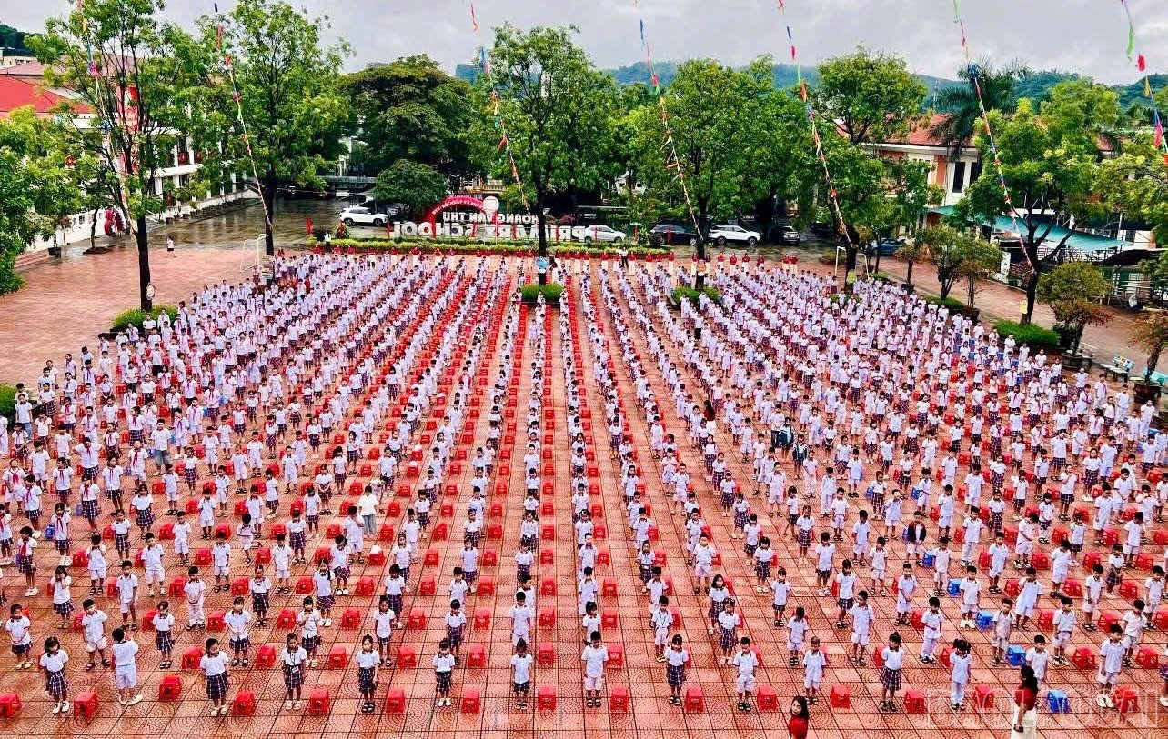 baolaocai-br_z6970216179235-3d93c660b74402a38a35a42670751939.jpg