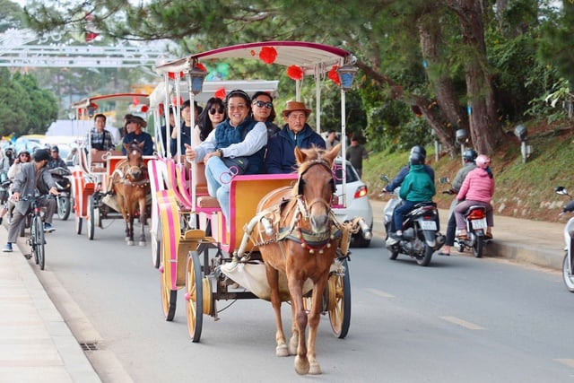 P.Xuân Hương - Đà Lạt cấp giấy chứng nhận Hợp tác xã xe ngựa Đà Lạt- Ảnh 1.