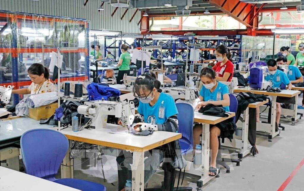 Sản xuất hàng dệt may xuất khẩu.
