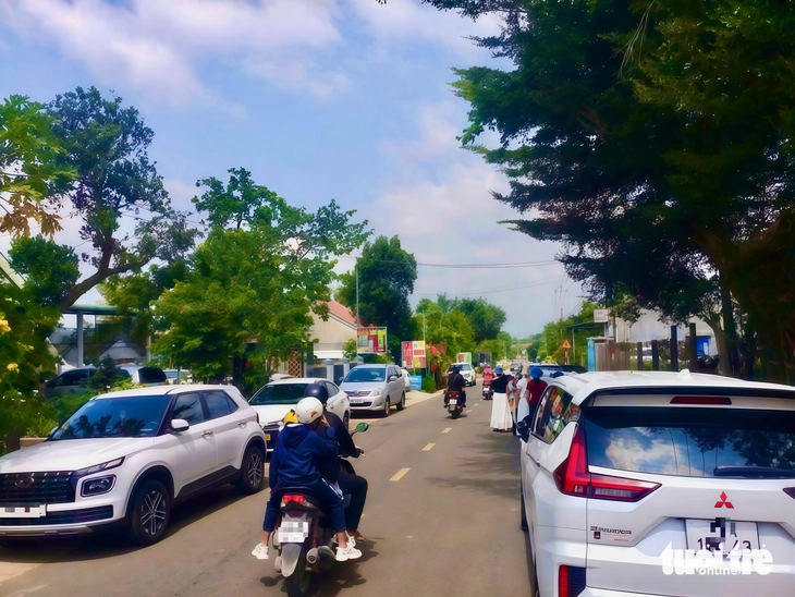 Vườn đỏ Vân Hòa hút khách- Ảnh 2.