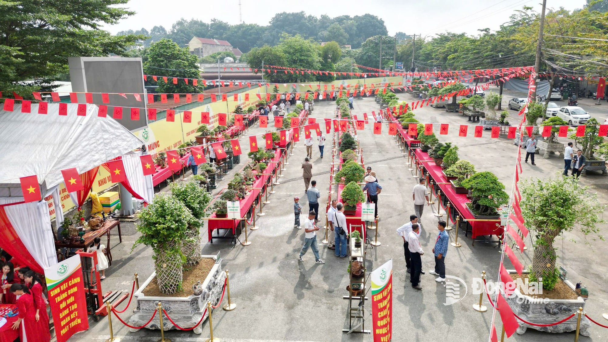 Trưng bày sinh vật cảnh tại xã Trảng Bom kỷ niệm 80 năm Cách mạng tháng Tám và Quốc khánh 2-9. Ảnh: CTV
