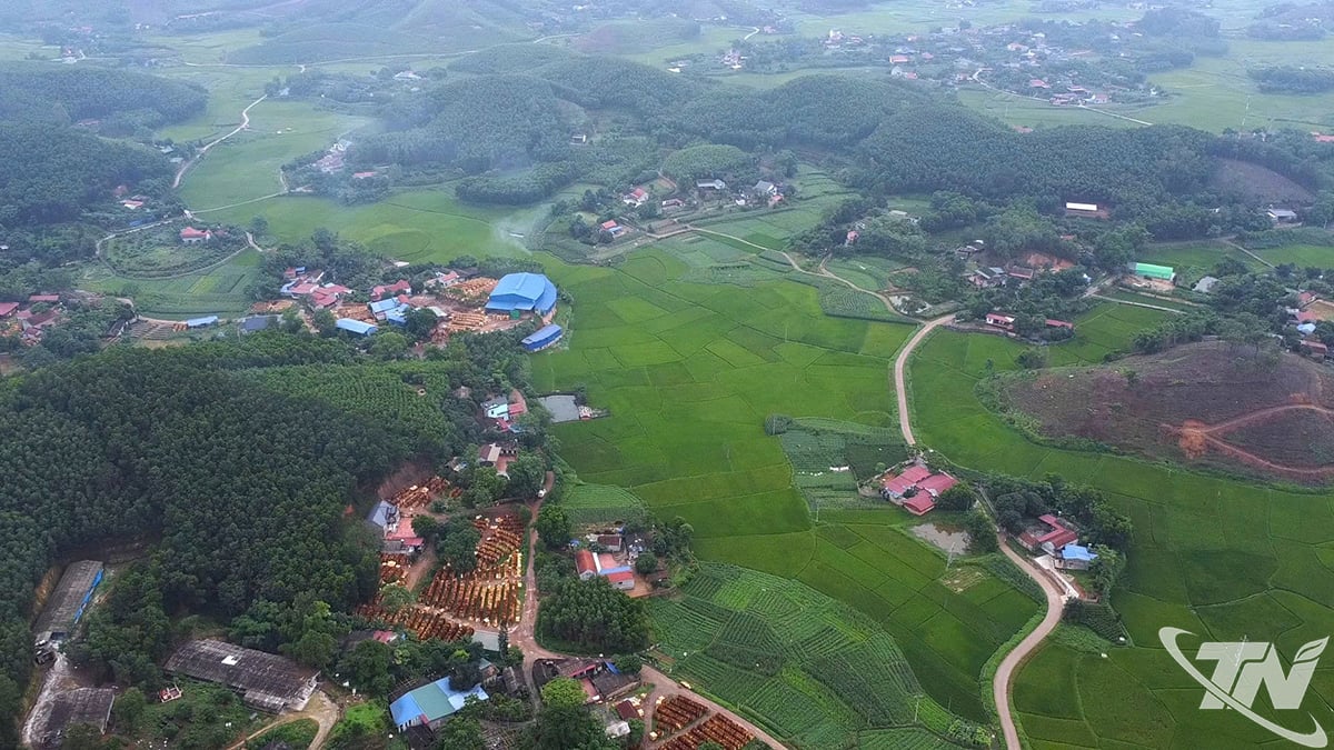 Thai Nguyen führt eine digitale Transformationsreise von der Hightech-Landwirtschaft zur grünen landwirtschaftlichen Entwicklung durch.