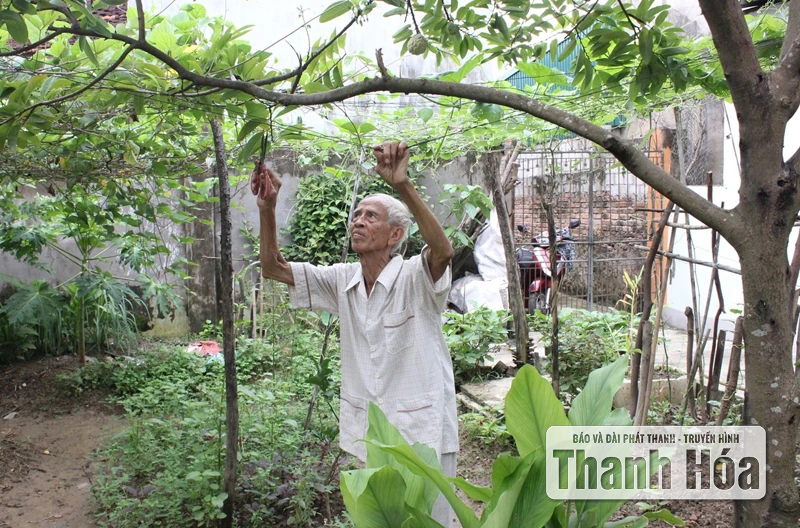 یاد عمو هو قلب‌های ما را پاک‌تر می‌کند!
