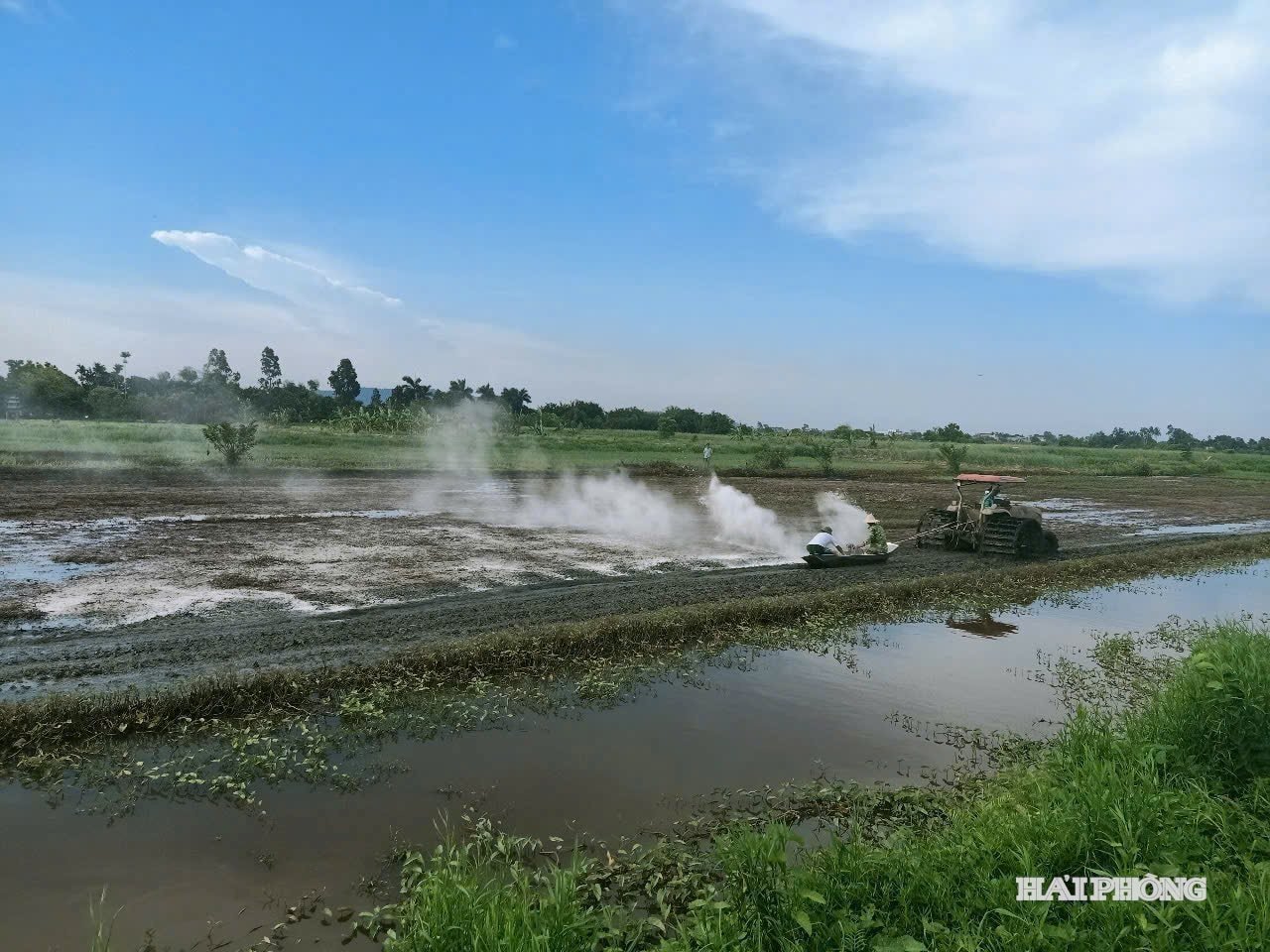 Anh Phạm Văn Quyên cùng Hợp tác xã cải tạo các tích ruộng đầm người dân bỏ hoang