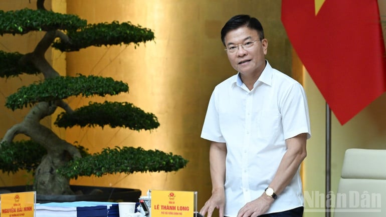 Phó Thủ tướng Lê Thành Long phát biểu ý kiến tại phiên họp. (Ảnh: Trần Hải)