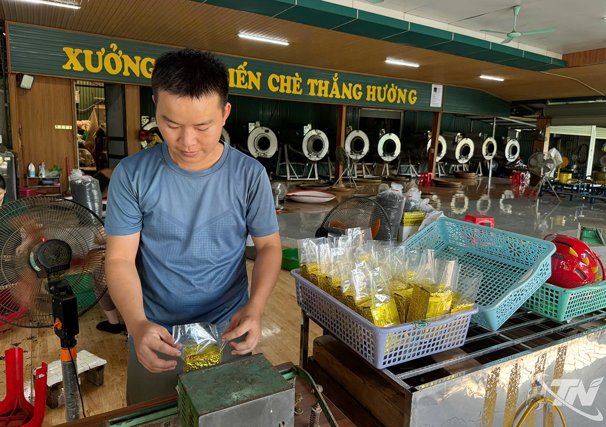 ດ້ວຍປະສົບການຫຼາຍປີ, ສະຫະກອນຊາທັງເຮືອງ, ໃນຕາແສງເຕິນກວ້ອງ, ເປັນຜູ້ຜະລິດຊາທີ່ມີຄຸນນະພາບສູງທີ່ມີຊື່ສຽງ.