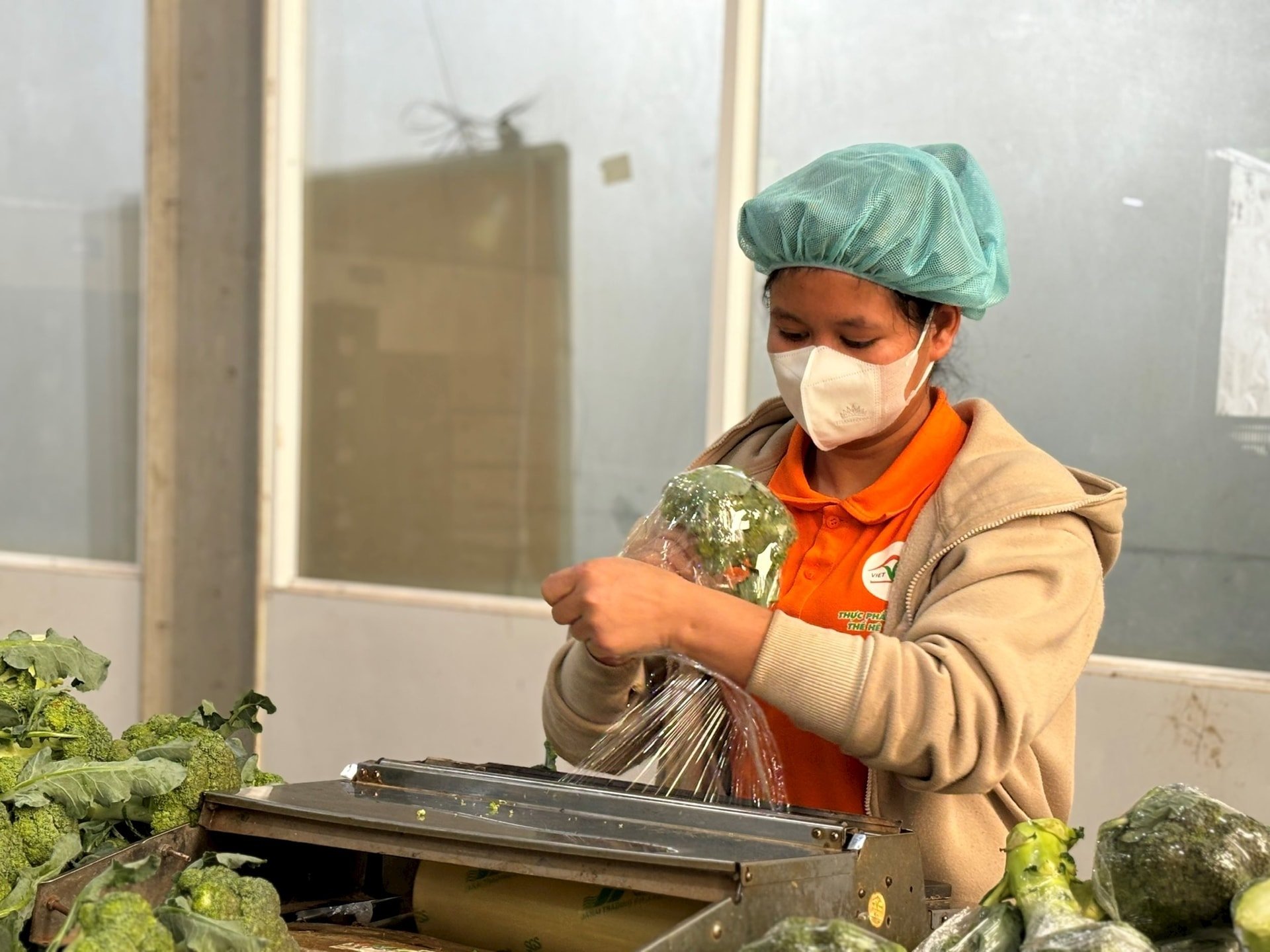 nha-xuong-cua-viet-f.a.r.m-dat-chuan-haccp.jpg