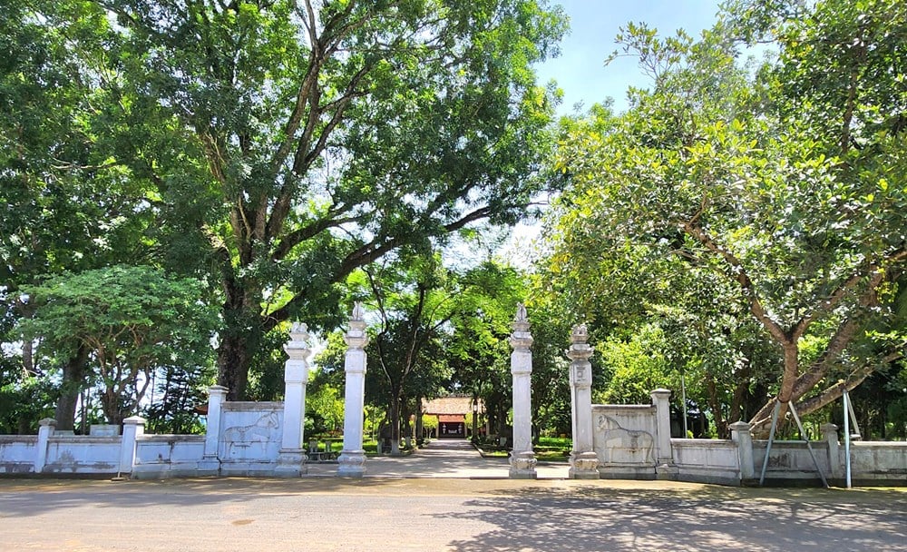 ប្រាសាទ Le Hoan - បេតិកភណ្ឌមួយពាន់ឆ្នាំបញ្ជាក់ទីតាំងដី Thanh - រូបថត ១