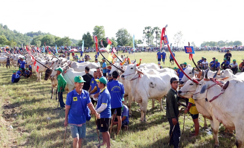 ការ​ប្រកួត​ប្រជែង​គ្នា​យ៉ាង​ខ្លាំង​នៅ​មហោស្រព​ប្រណាំង​រថយន្ត Bay Nui Bull ឆ្នាំ 2025 -7