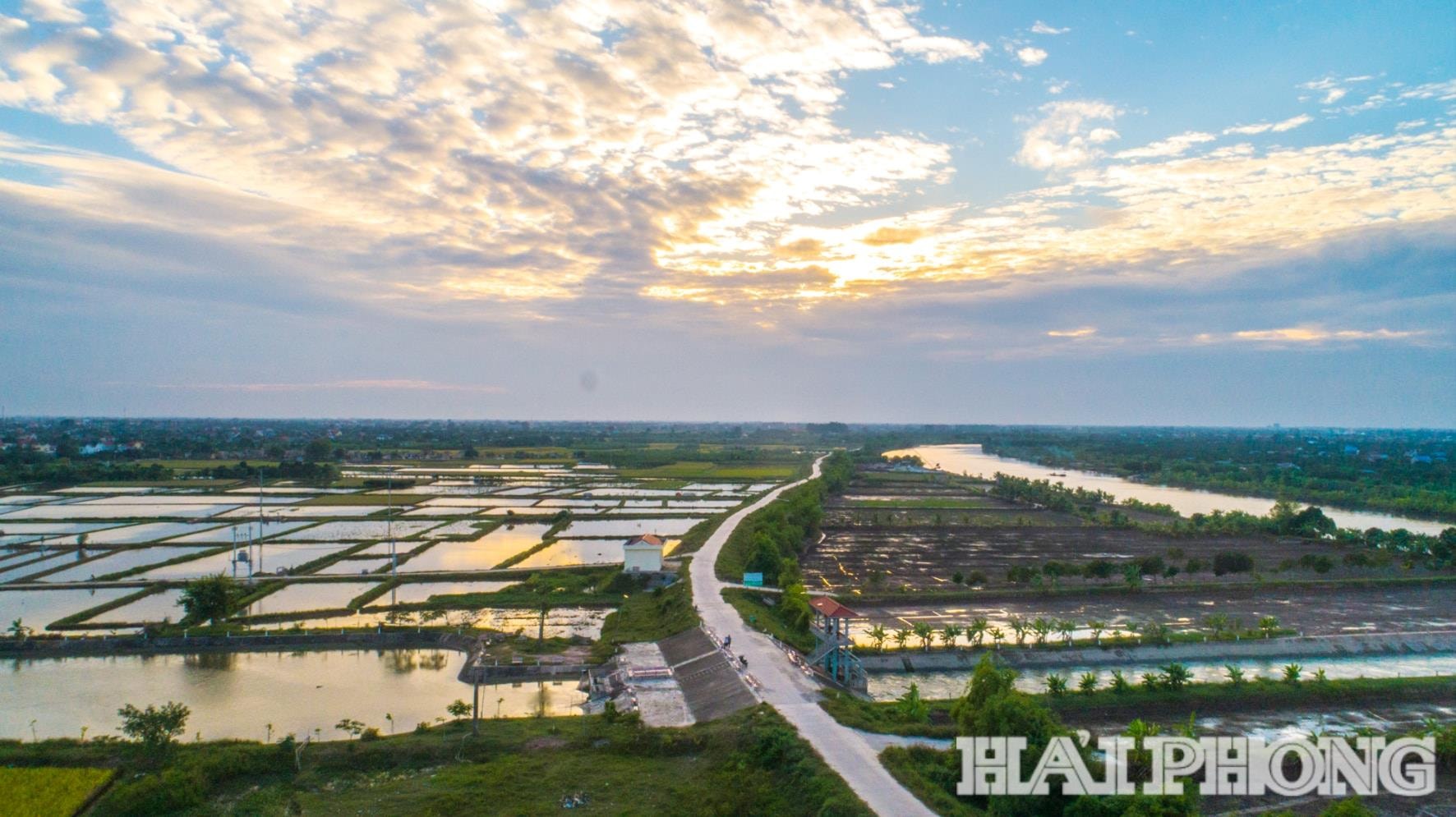 សរីរាង្គ-កសិកម្ម-ផលិតកម្ម(1.jpg