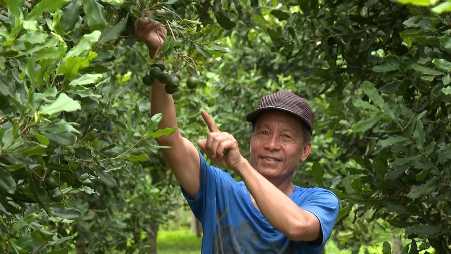 mac-ca-o-vinh-son.jpg