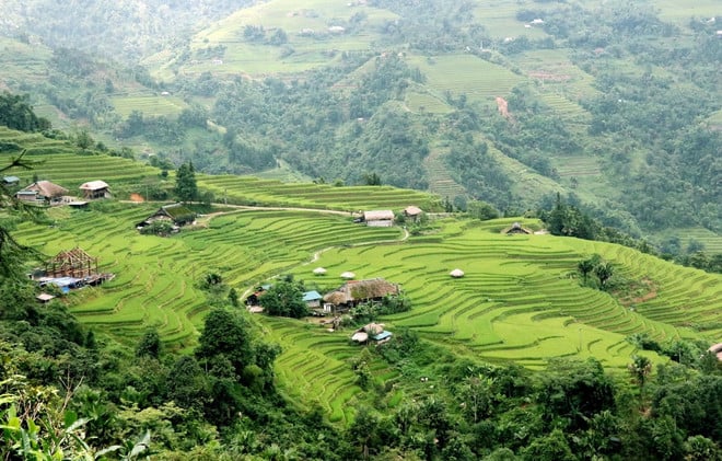 lang-reu-xa-phin-tuyen-quang-5.jpg
