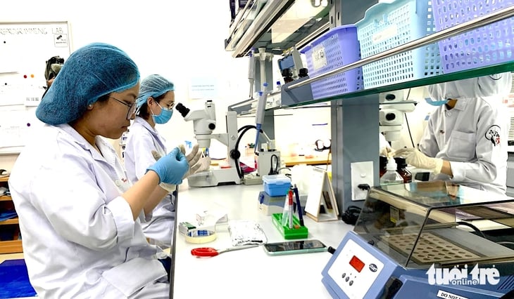 Các đại học Việt Nam dẫn đầu công bố quốc tế: Trường nào tăng mạnh nhất nửa đầu 2025? - Ảnh 1.