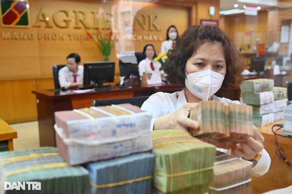 Cựu chủ tịch Agribank Nguyễn Thế Bình bị truy nã: Ngân hàng lên tiếng - 1