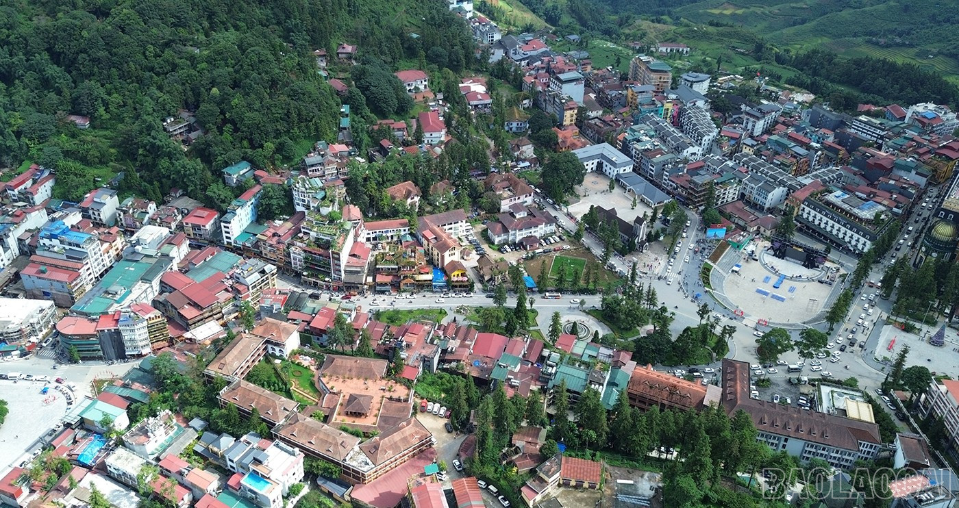 baolaocai-br_ham-1.jpg