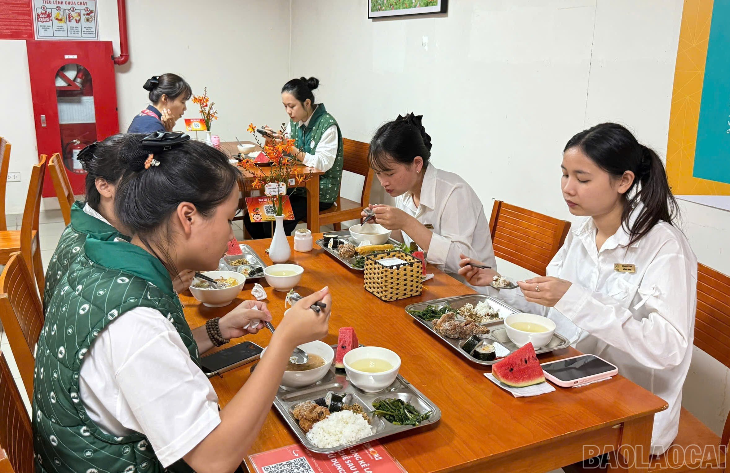 baolaocai-br_z6946935983982-9a1cbe1e9e281a42abebf4123c4b51ba.jpg